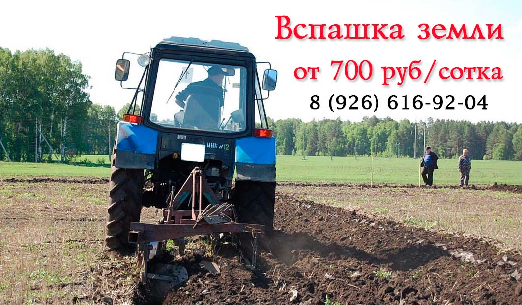 Вспашка земли трактором в Серпухове
